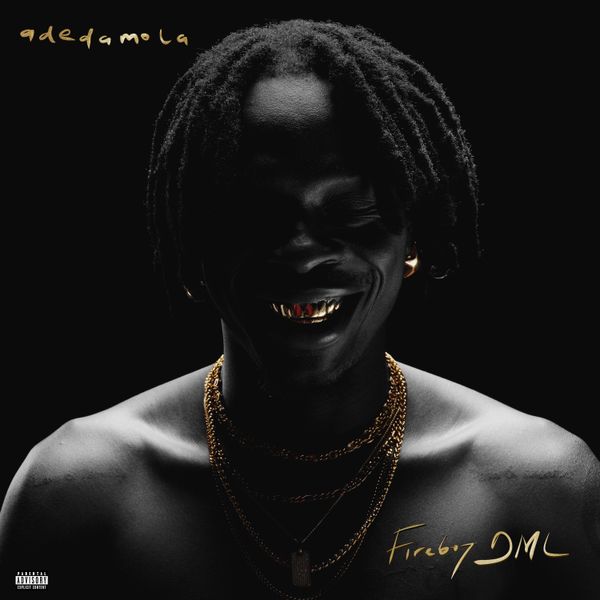 Fireboy DML (feat. Seun Kuti) – ecstasy ft. Seun Kuti