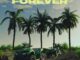 Tion Wayne – Forever ft. Shallipopi