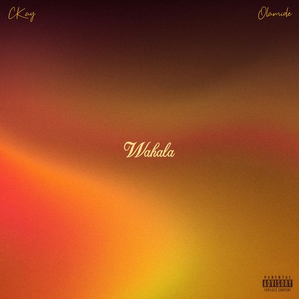 CKay - WAHALA Ft. Olamide