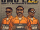 Danny S - Omo Lile (Remix) Ft. Balloranking & Kashcoming
