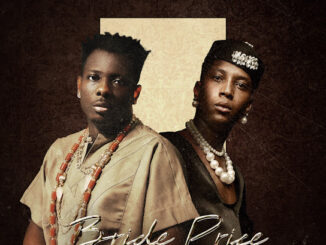 Terry Apala - Bride Price Ft. Bella Shmurda