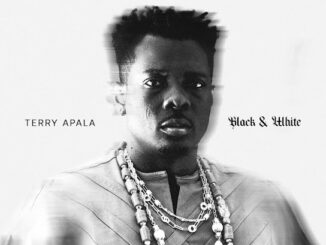 Terry Apala - Sebebe Ft. Spellz