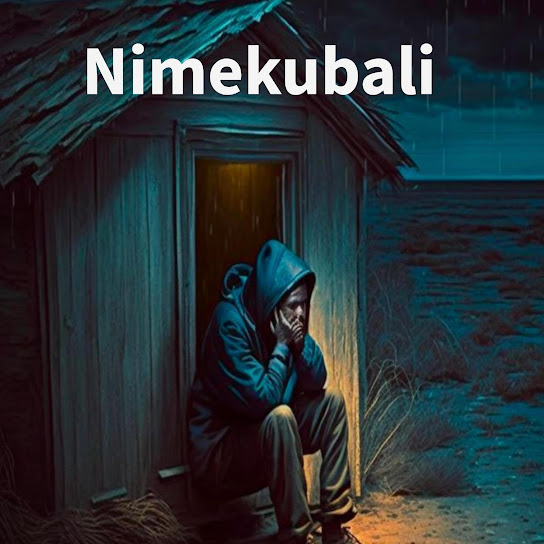 Diamond Platnumz – Nimekubali ft. jd muliki