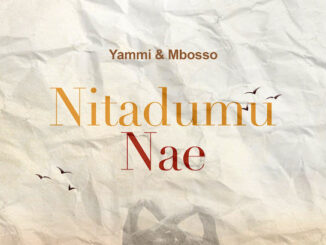 Yammi - Nitadumu Nae ft. Mbosso