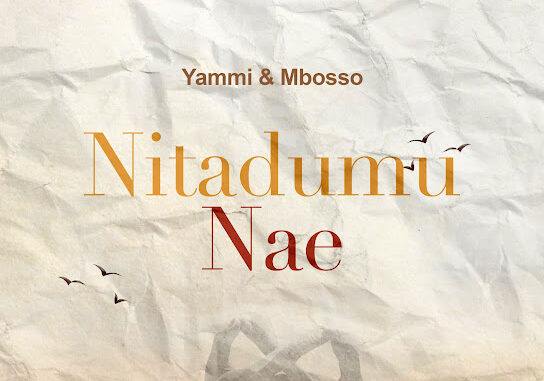 Yammi - Nitadumu Nae ft. Mbosso Yammi - Nitadumu Nae ft. Mbosso