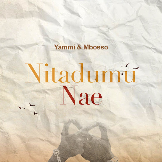 Yammi - Nitadumu Nae ft. Mbosso