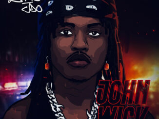 Zhus Jdo – JOHN WICK